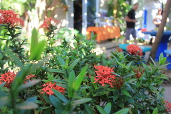 Jaco Lodge Quiet Hotel 外观 照片